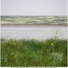 tri phryne biotope3 kher